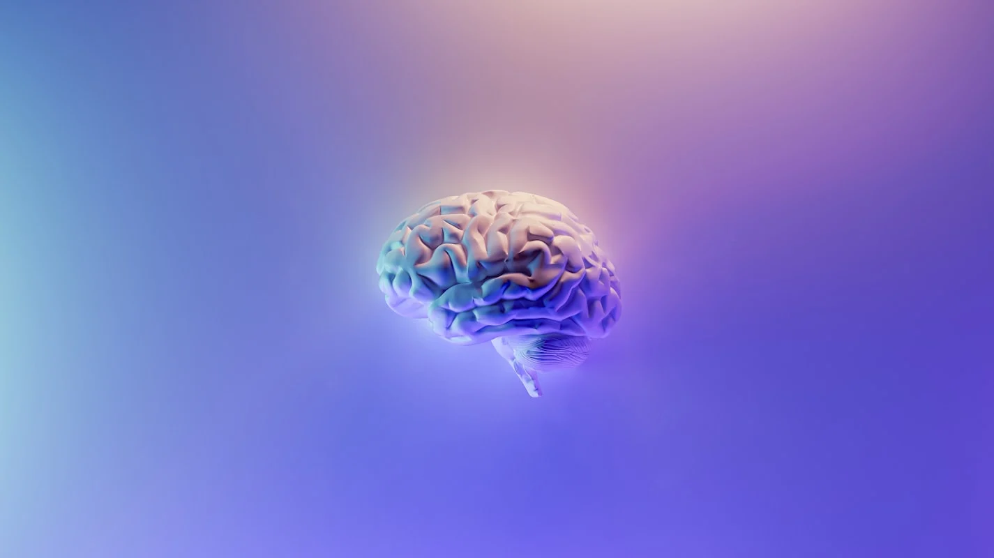 Cerebro