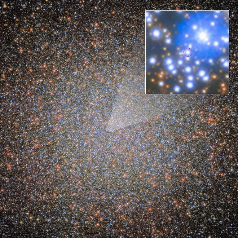 Hubble e Webb