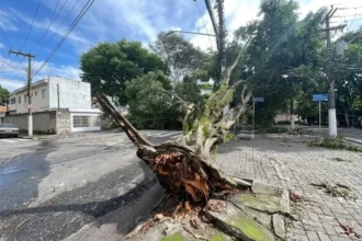 Ventania Extrema Deixa Rastro de Destruicao em SP e RJ Entenda a Ligacao com o El Nino