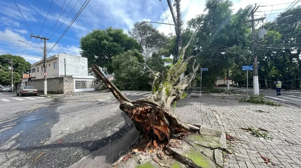 Ventania Extrema Deixa Rastro de Destruicao em SP e RJ Entenda a Ligacao com o El Nino