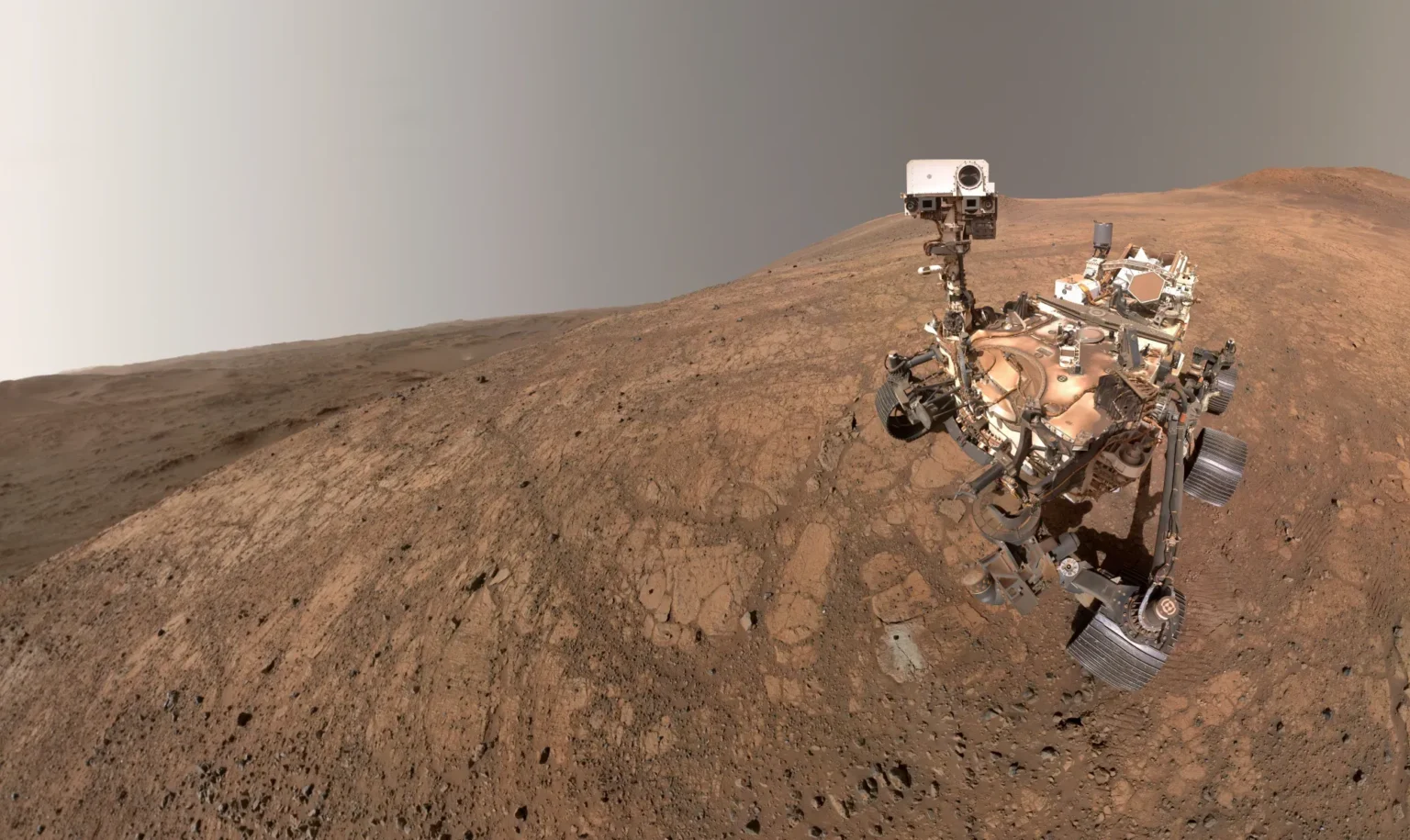 pia26574 selfie 1