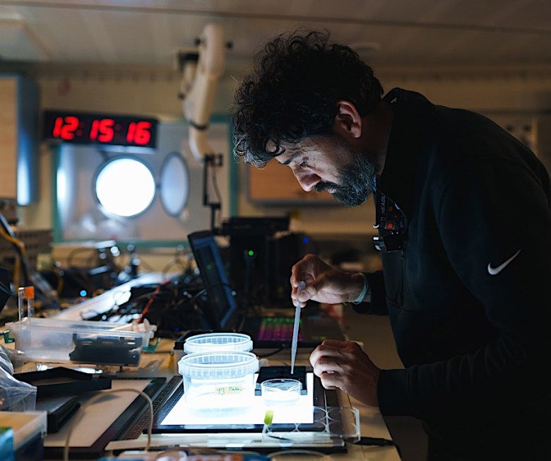 Pesquisador analisando amostras em laboratório a bordo do navio Falkor
