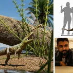 Fossil perdido por 20 anos revela nova especie no RS