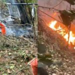 Bombeiros trabalham em área de mata após queda de helicóptero na Vista Chinesa, no Rio de Janeiro