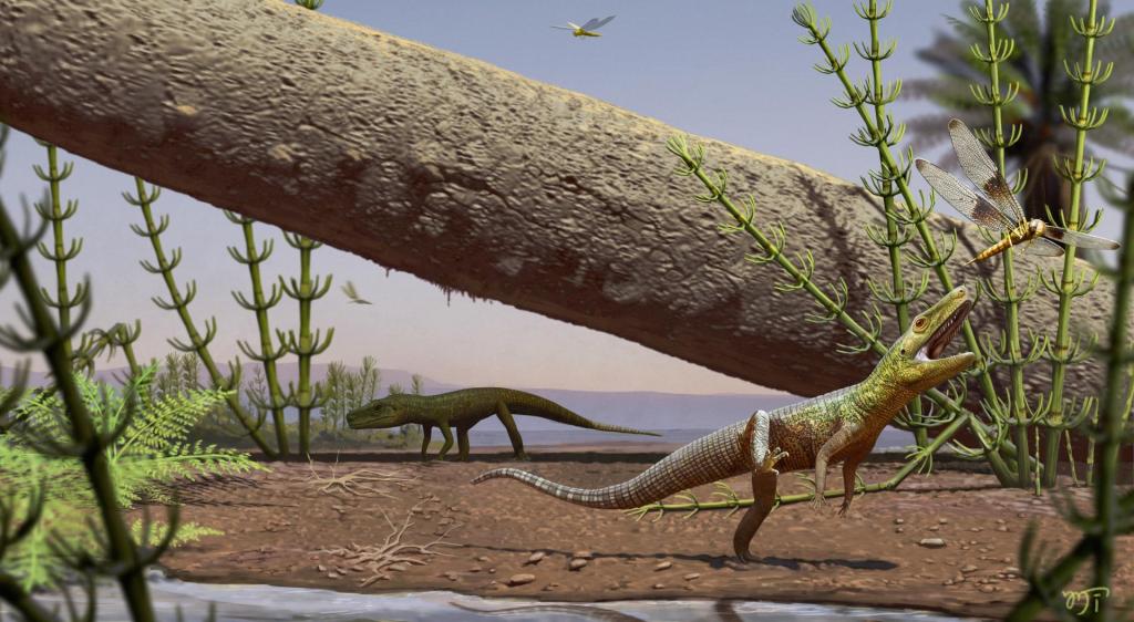 Silescelida acristata por Matheus Fernandes 1024x562 1