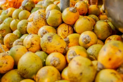 Tucuma O Ouro da Amazonia Seus Beneficios para a Saude e Como Consumir